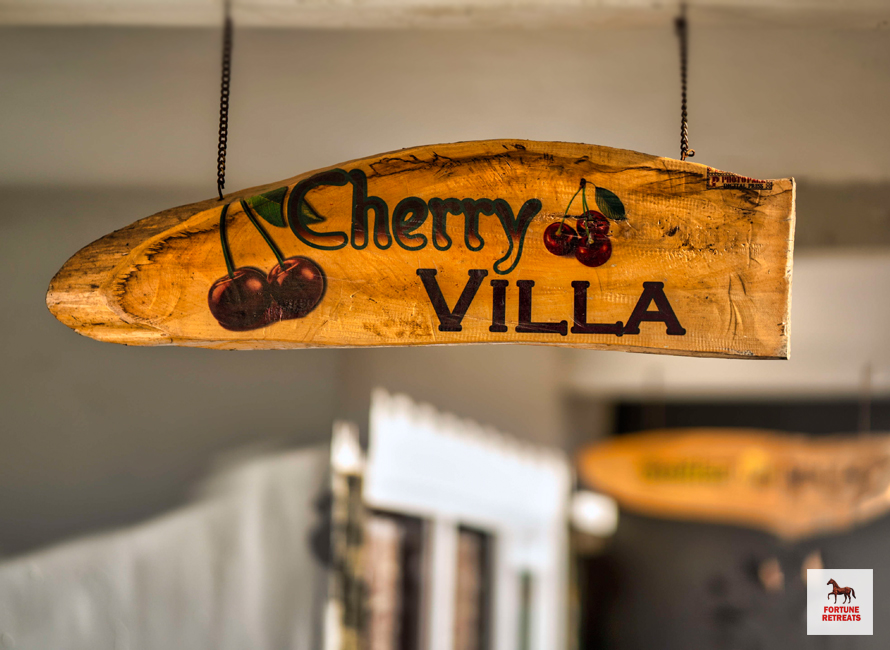 cherry 1
